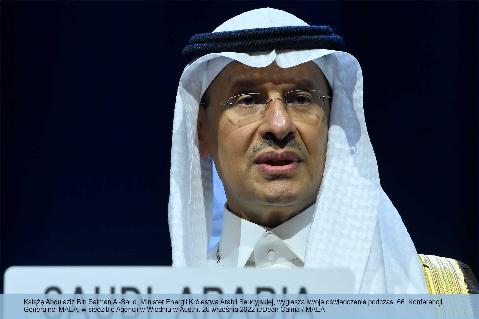 Abdulaziz Bin Salman Al-Saud,